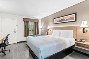 Una habitación de hotel con cama, escritorio, silla y un cuadro en la pared.
