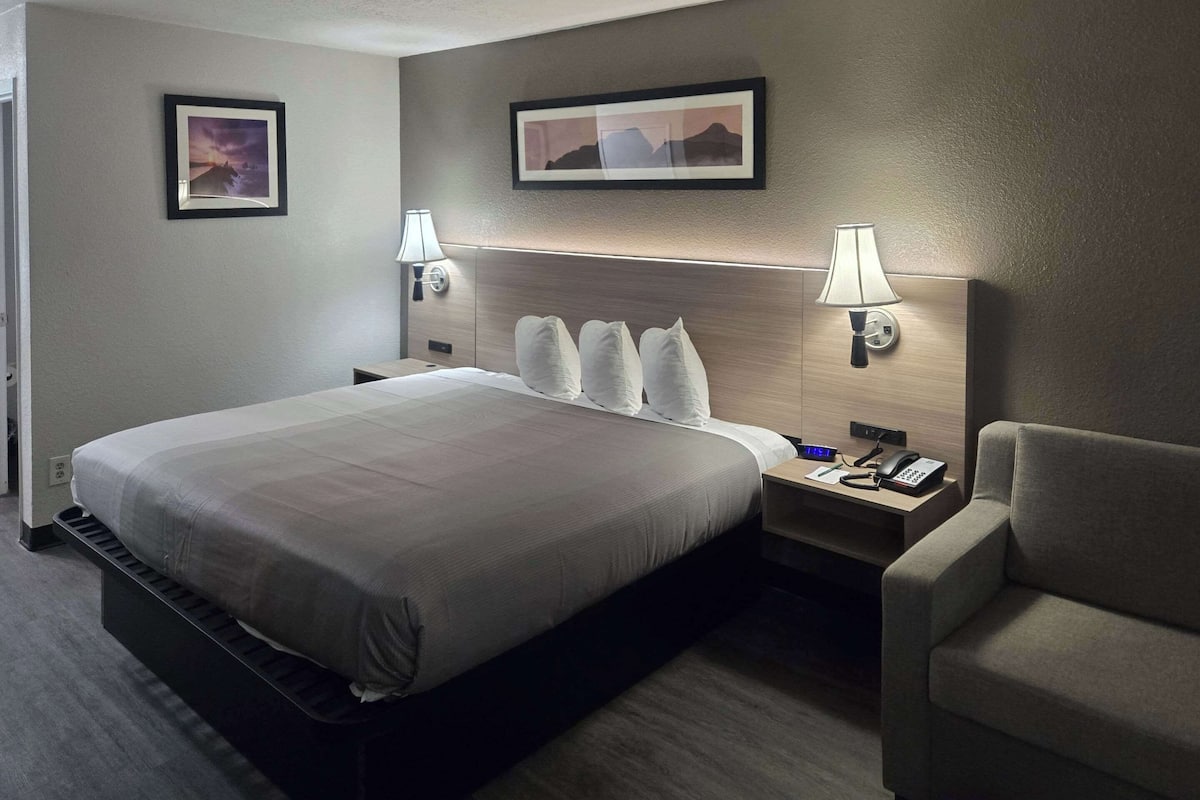 Standard Room, 1 King Bed, Non Smoking