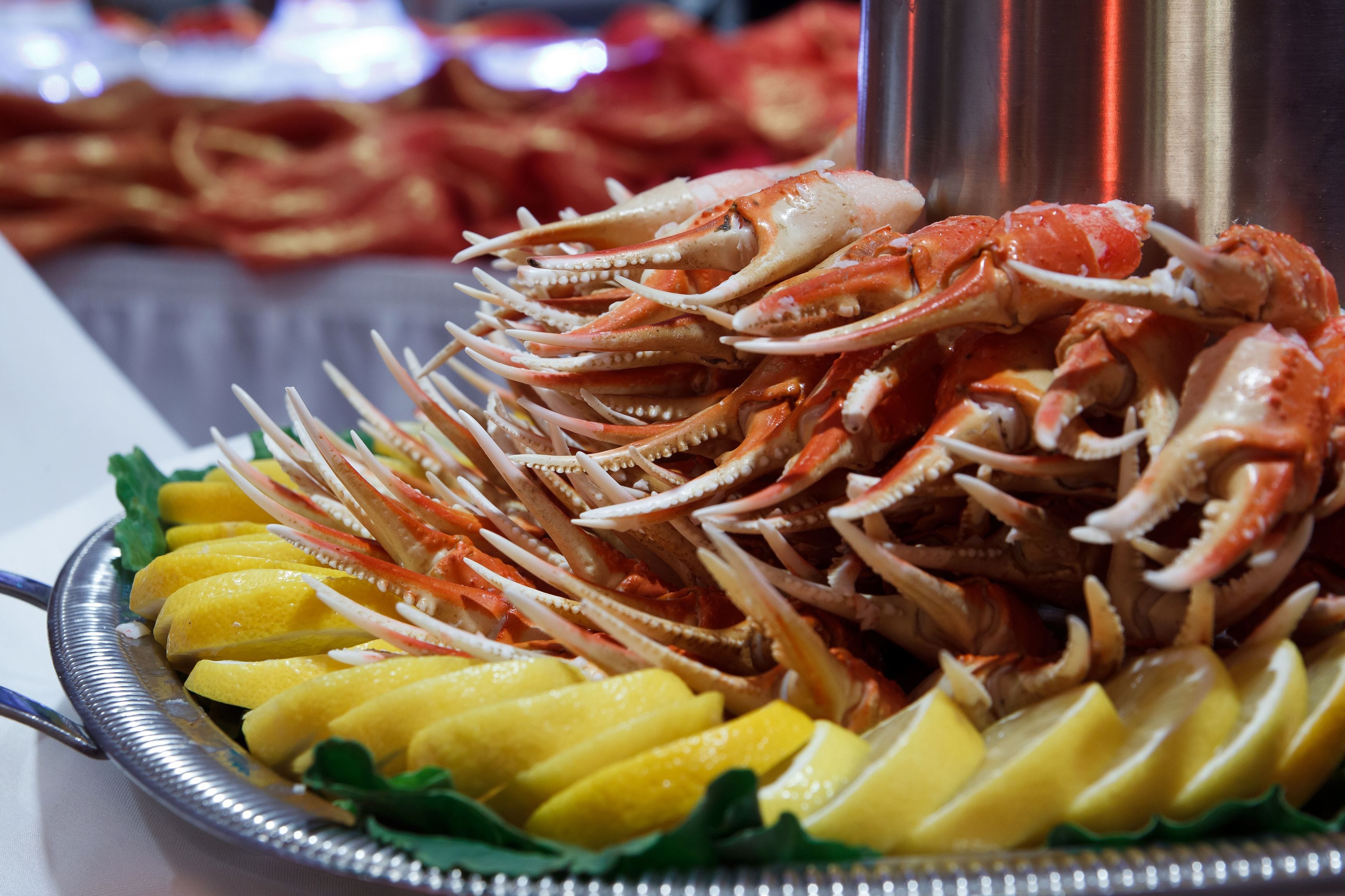 Foto - Holiday Inn Charlotte Airport by IHG