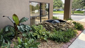 A landscaped garden with a rock feature and various plants, including a large banana plant, in front of a building with a glass window. - THE PARAGON of Golden Isles (Brunswick)