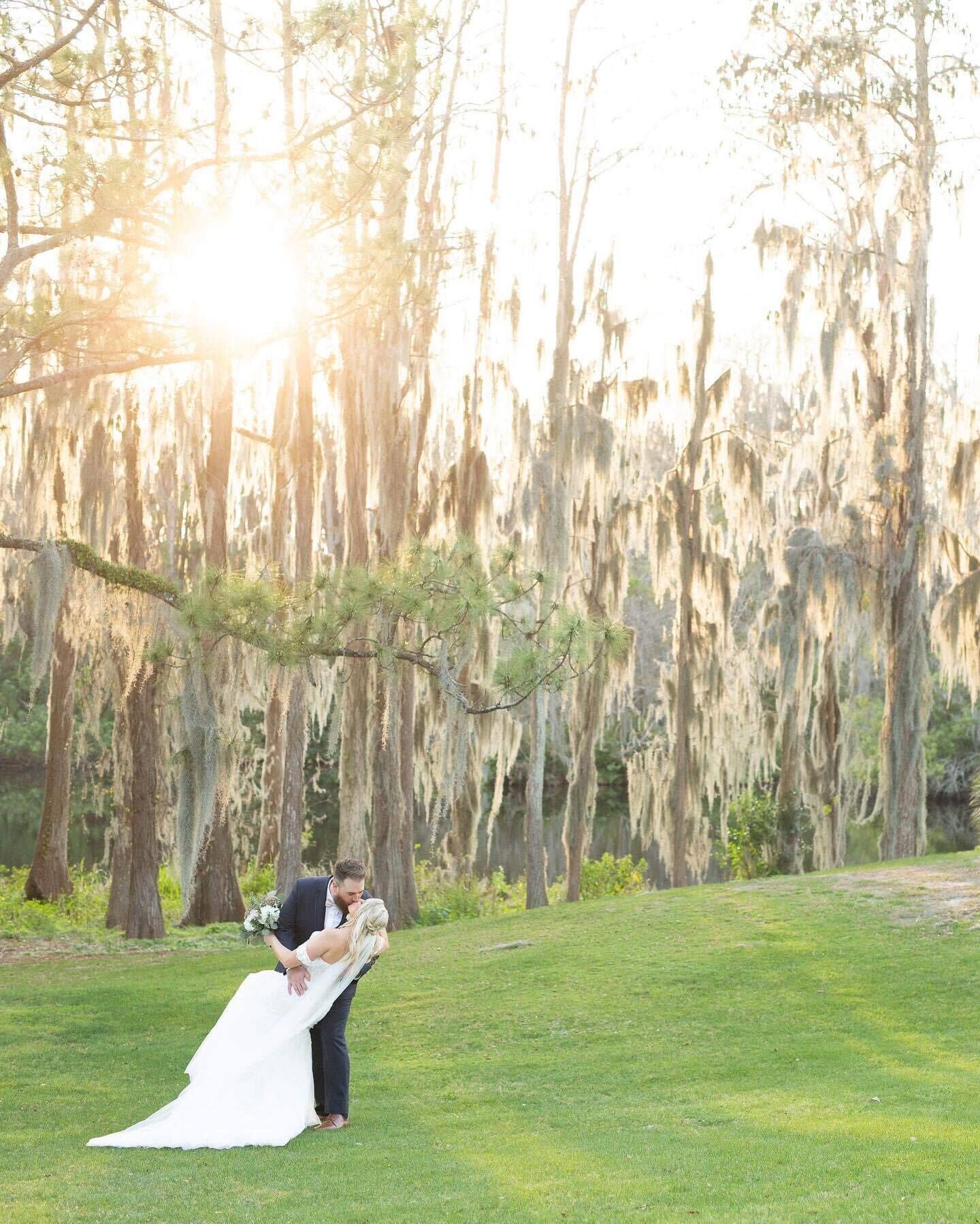 outdoor wedding area