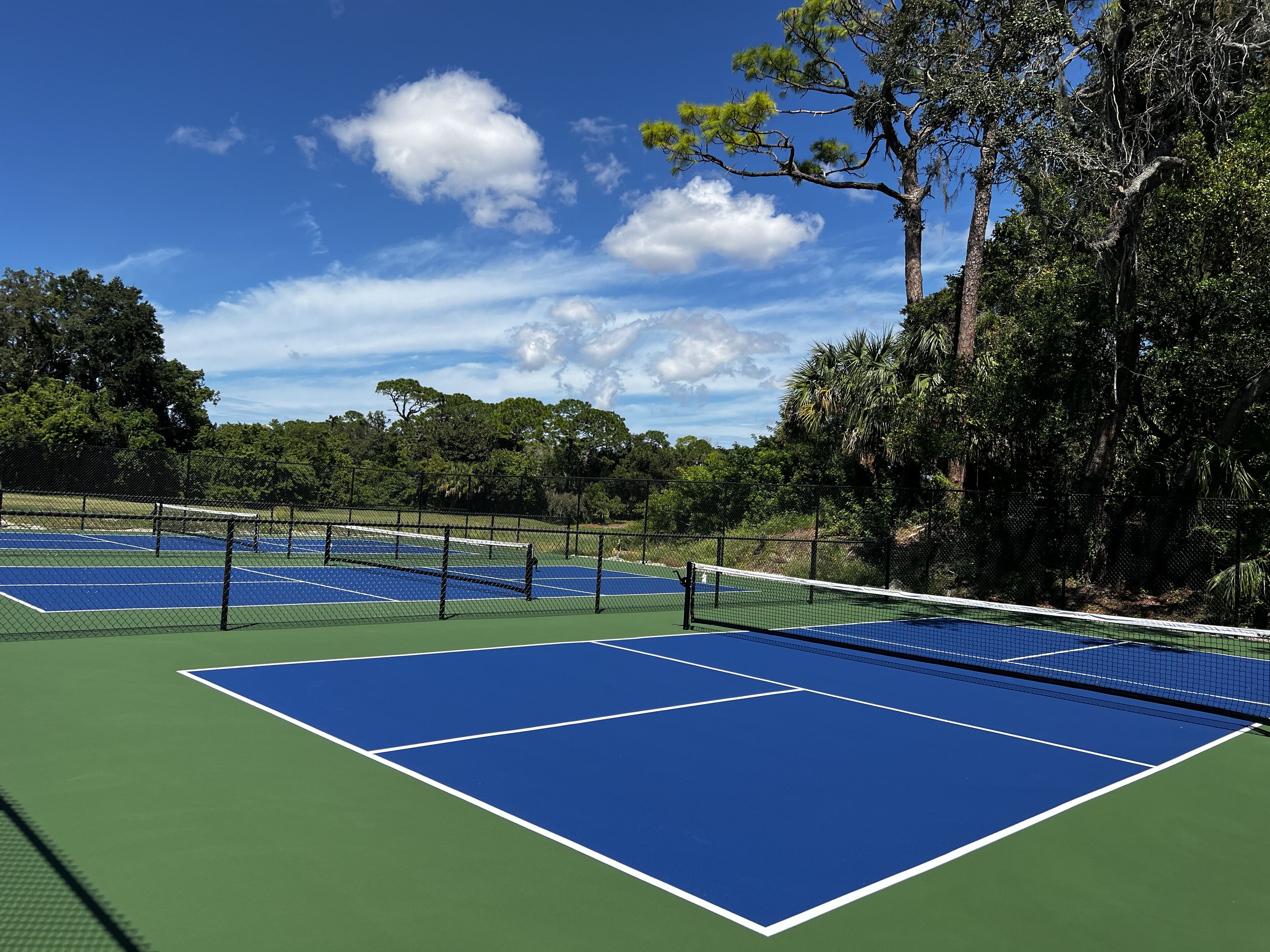 Ein Tennisplatz mit Netz, umgeben von Bäumen und blauem Himmel.