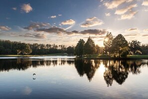 A calm lake with trees reflecting the sky and sun. - Innisbrook Resort (Palm Harbor)