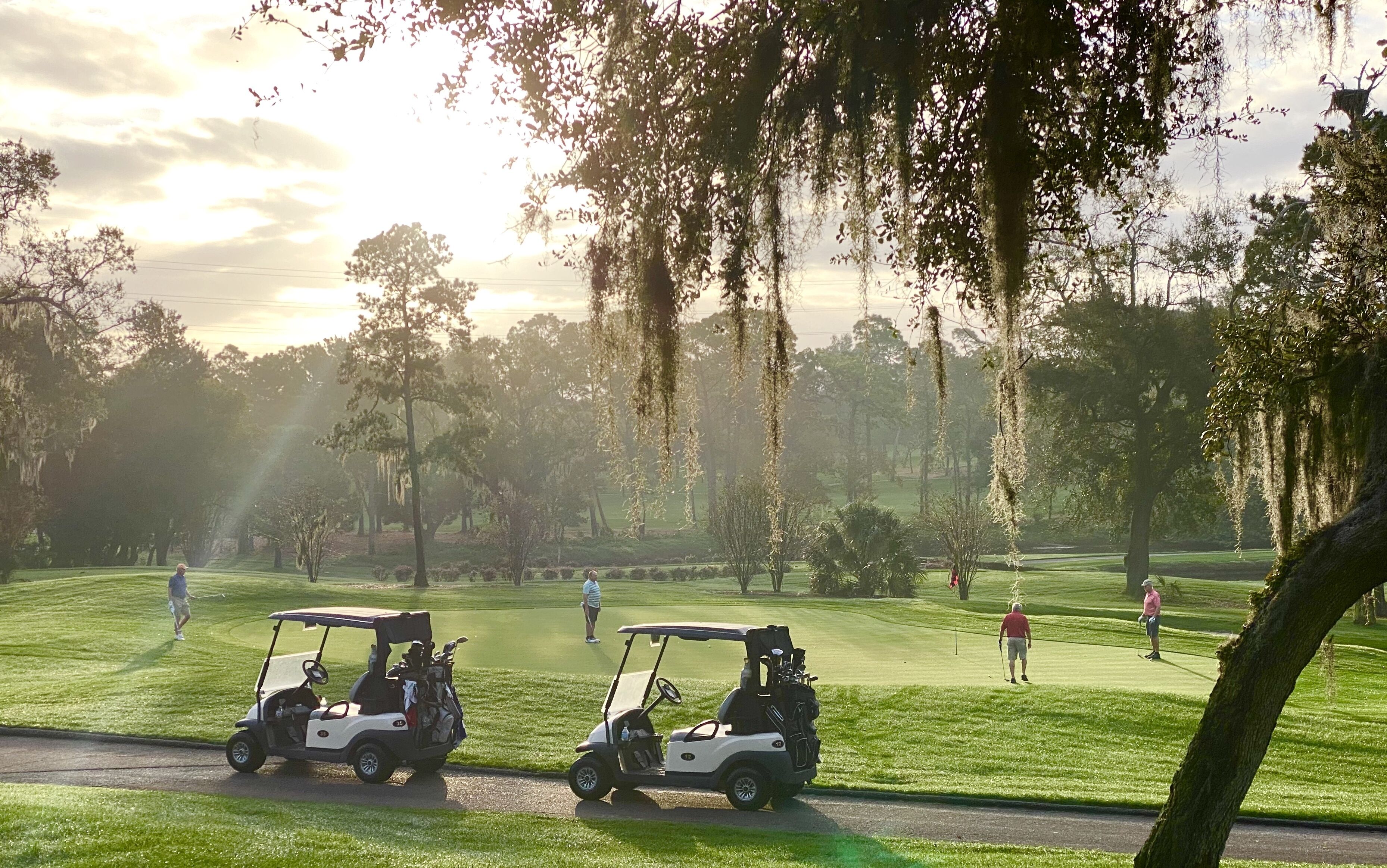 A golf course with two golf carts parked on the side of the road, surrounded by trees and greenery.