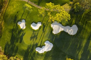 Golf - Innisbrook Resort (Palm Harbor)