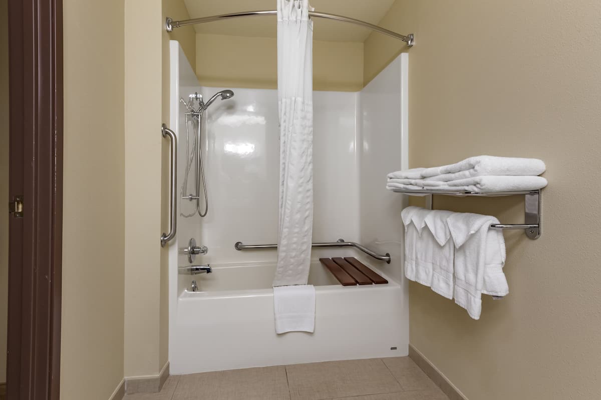 combined shower/bathtub, free toiletries, hair dryer, towels