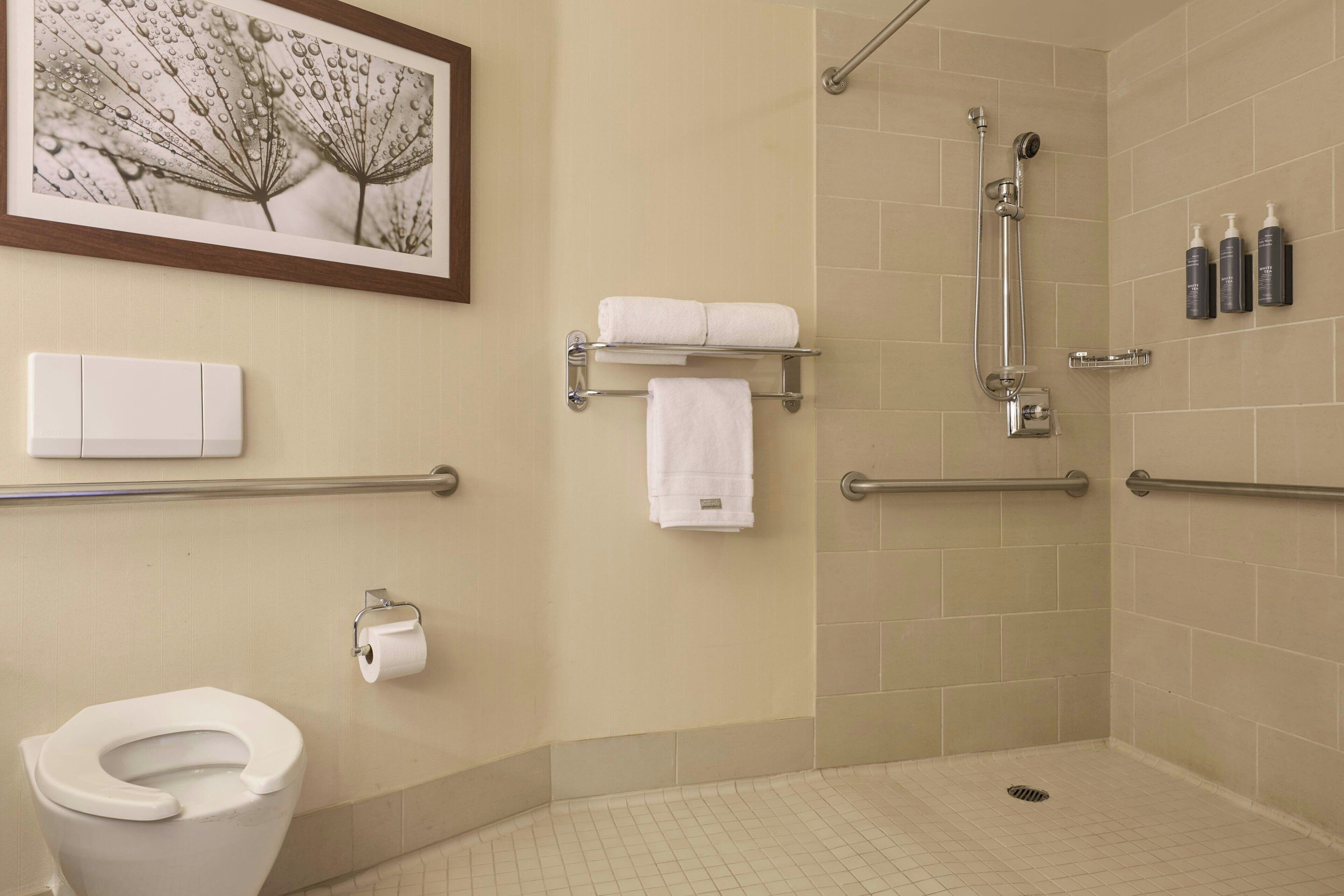 Une salle de bain équipée de toilettes, de barres d’appui, d’une douche et d’un tableau encadré au mur.