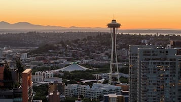 A cityscape with a prominent tower, dense urban buildings, and a distant mountain range.