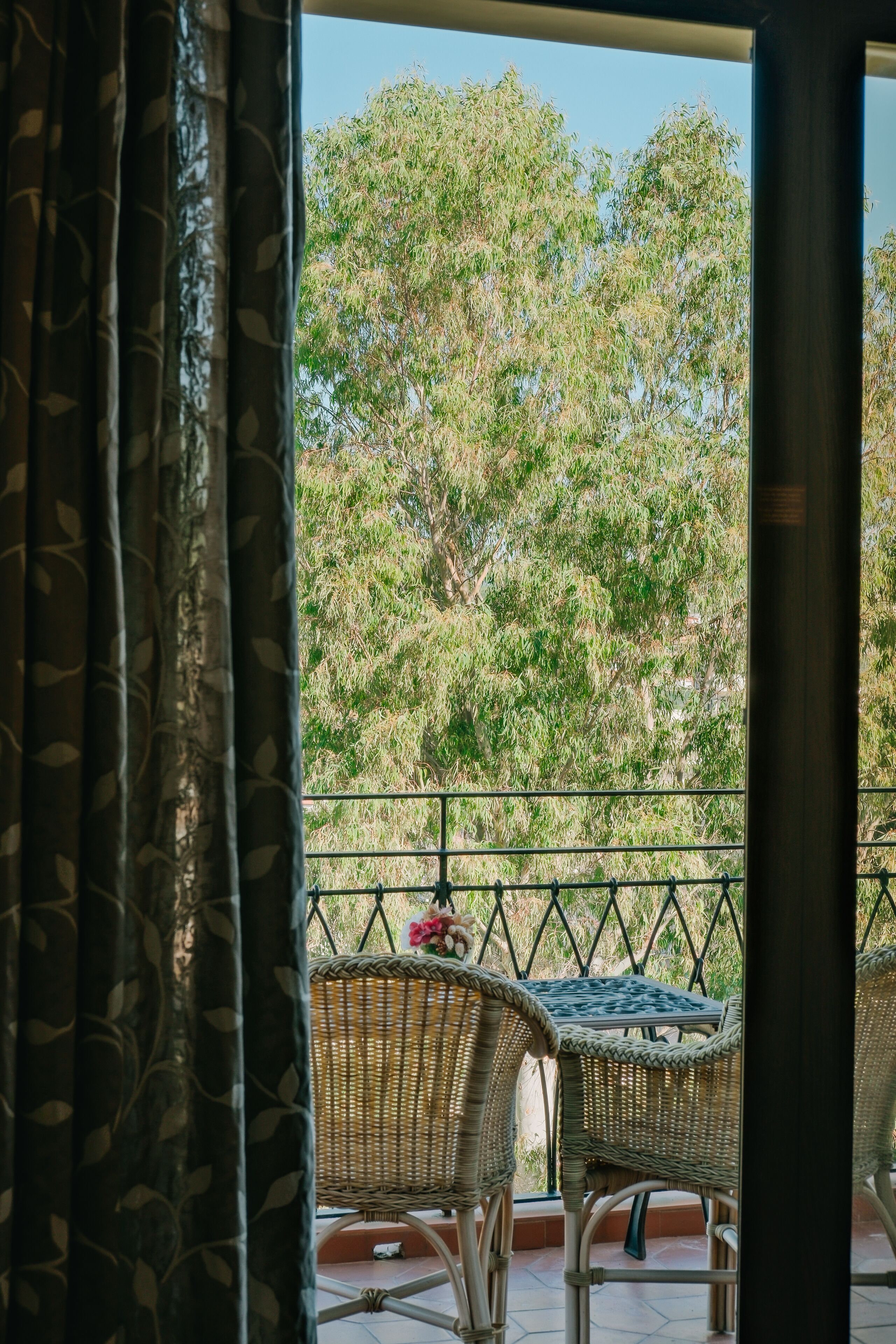 classic room, terrace, park view | garden view