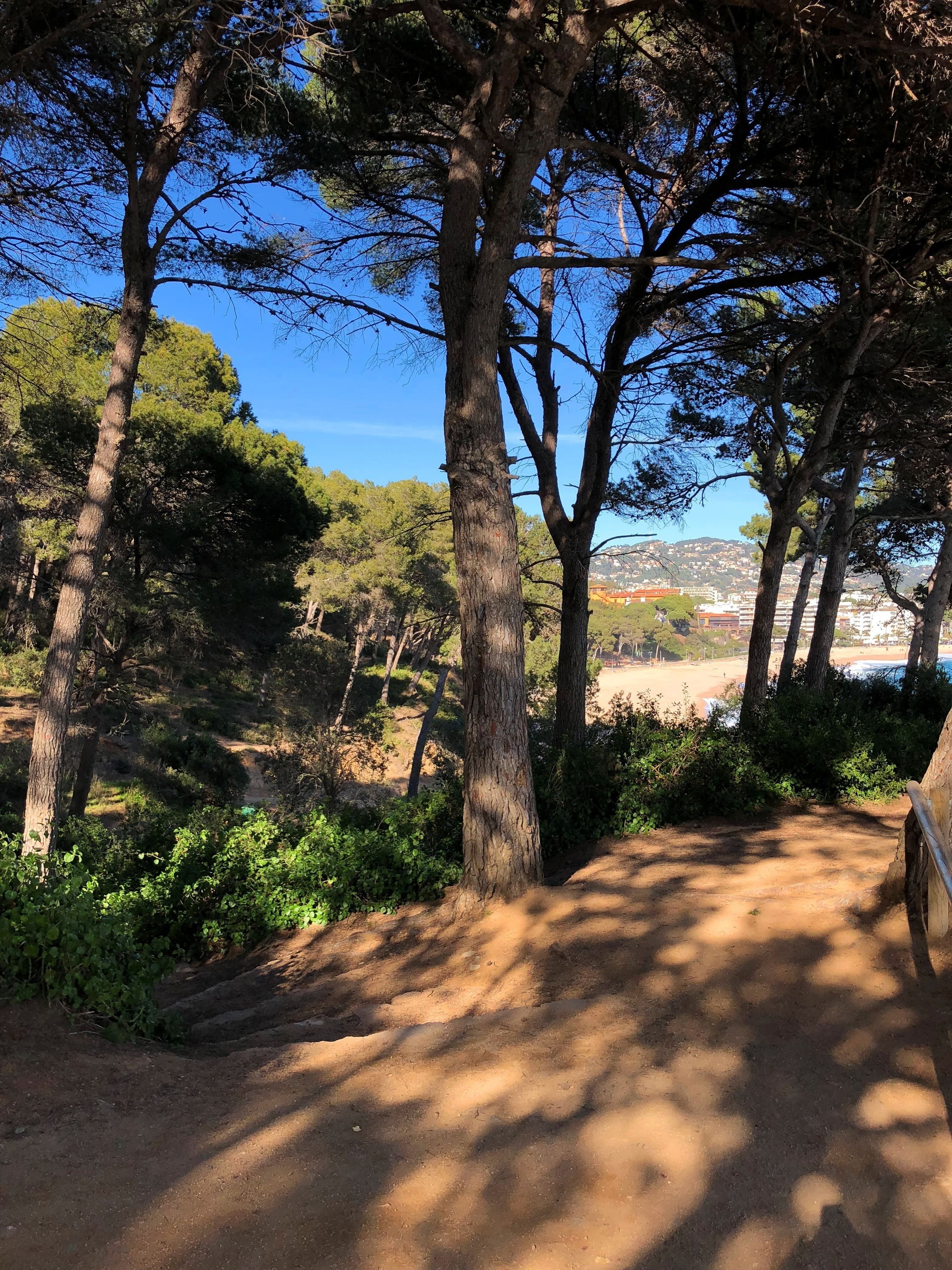 Foto - Rigat Park & Spa Hotel - Adults Recommended