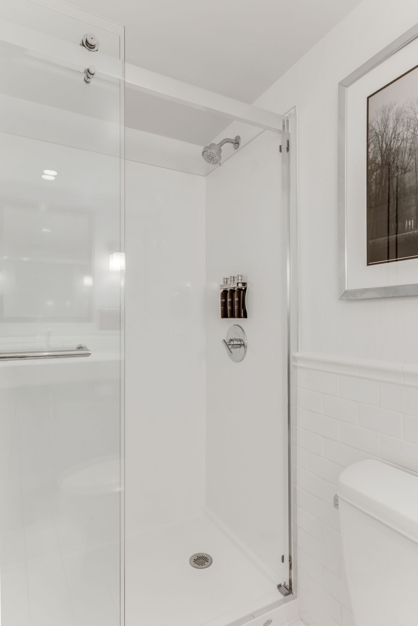 A modern bathroom with a glass-enclosed shower, a toilet, and a framed picture on the wall.
