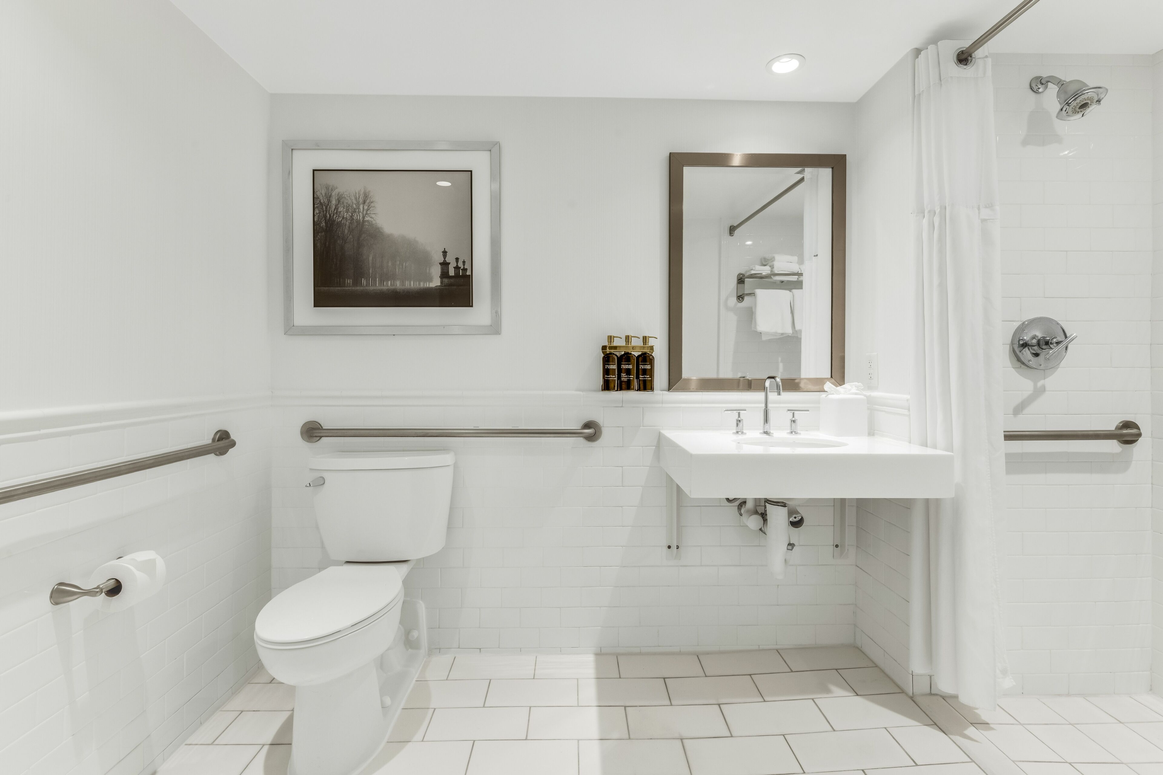 A modern bathroom with a toilet, sink, shower, and handrails.