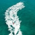 Ocean Key Resort - A Noble House Resort