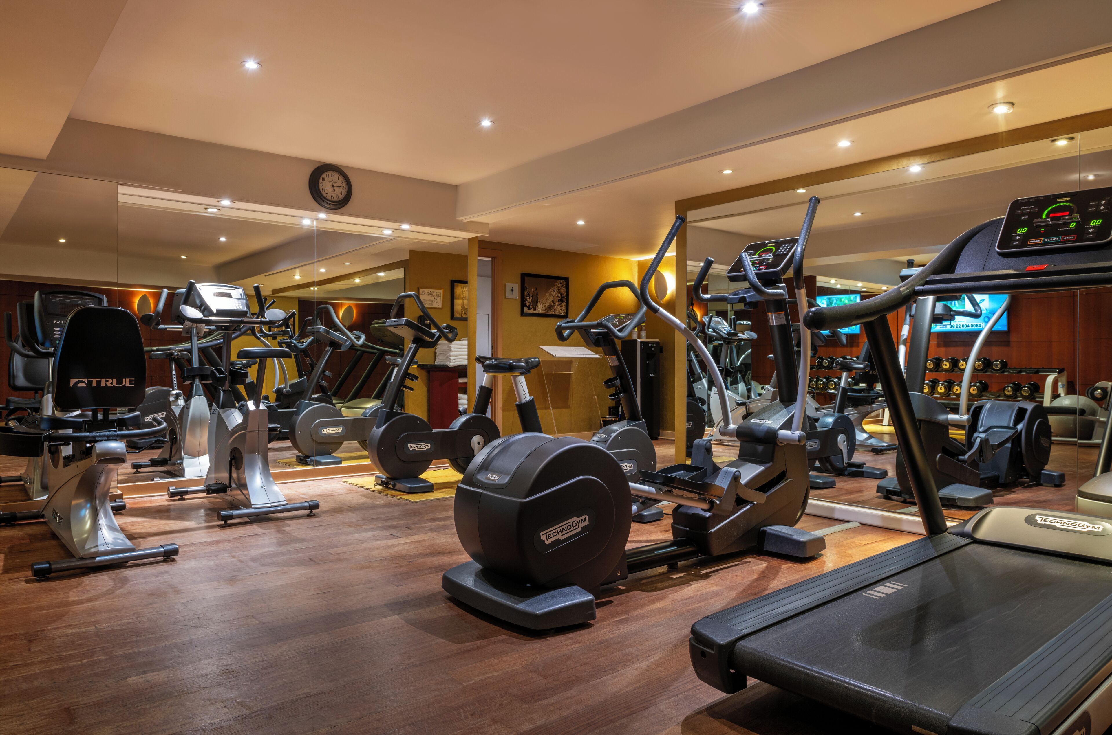 A gym with treadmills, ellipticals, and weight machines.
