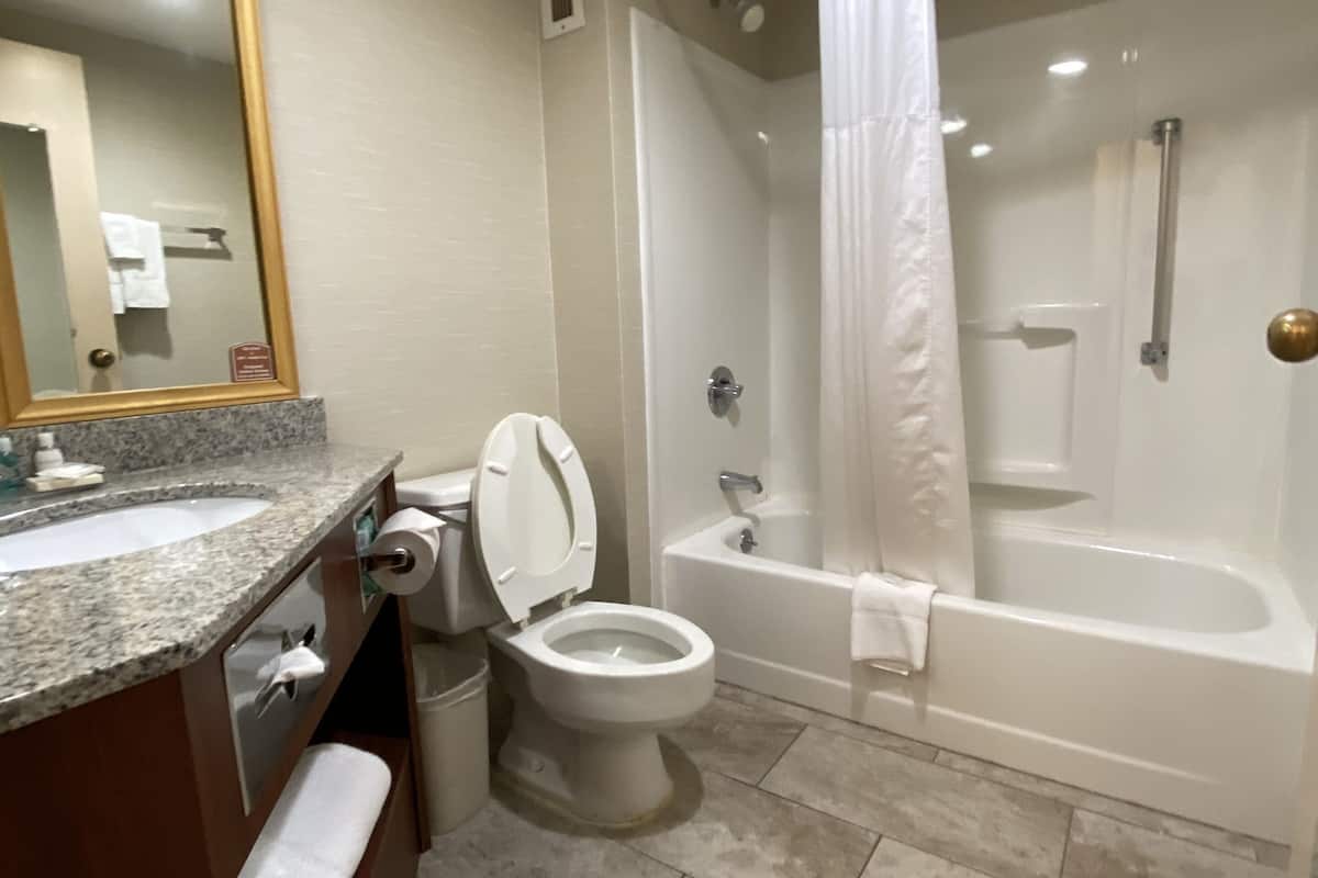 suite, 1 king bed with sofa bed, non smoking (efficiency) | bathroom | combined shower/bathtub, hydromassage showerhead, free toiletries