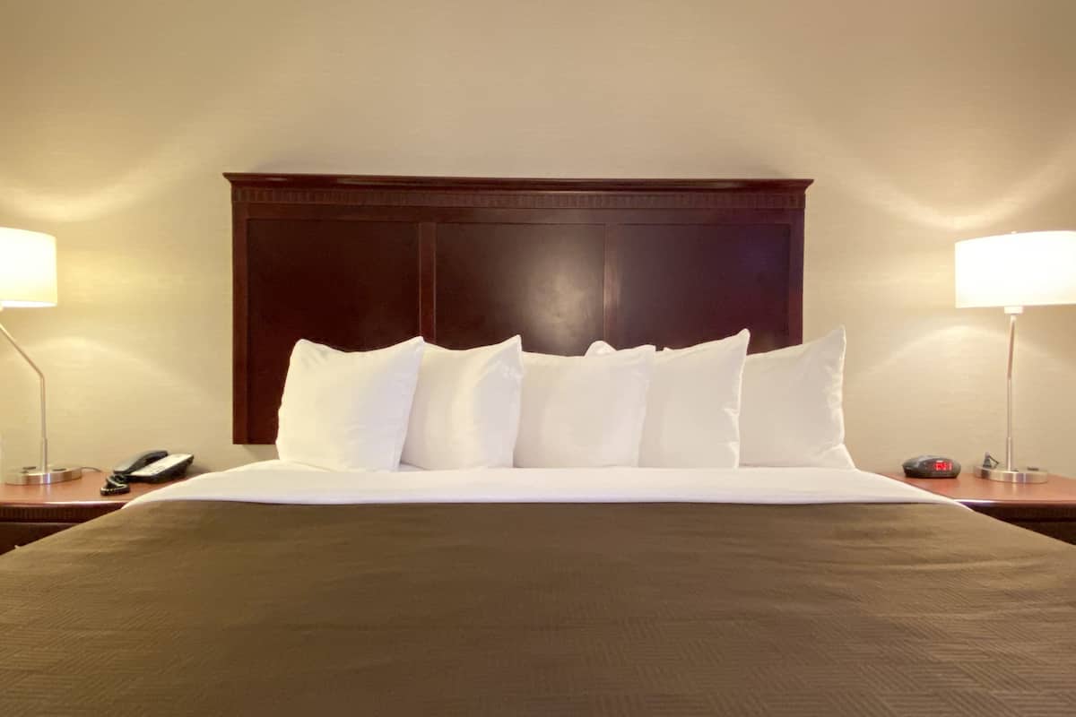 suite, 1 king bed, non smoking | in-room safe, desk, blackout curtains, iron/ironing board