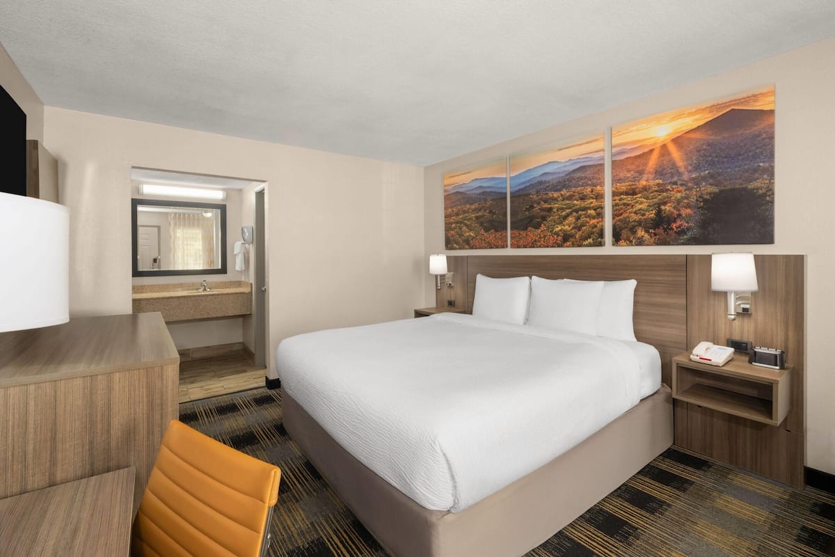 Ropa de cama de alta calidad y cortinas blackout