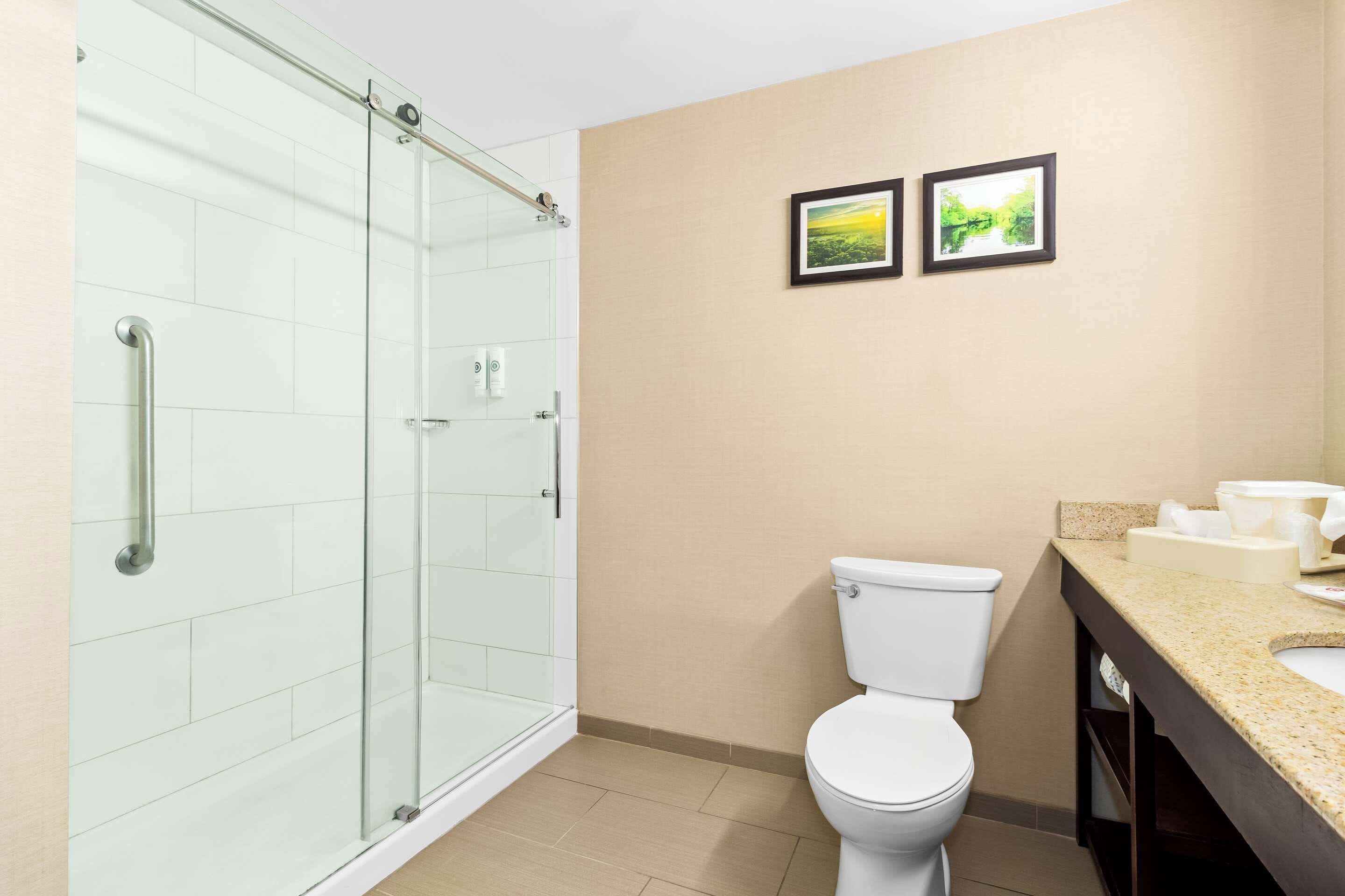 A bathroom with a glass shower enclosure, a toilet, and a sink with a beige countertop.