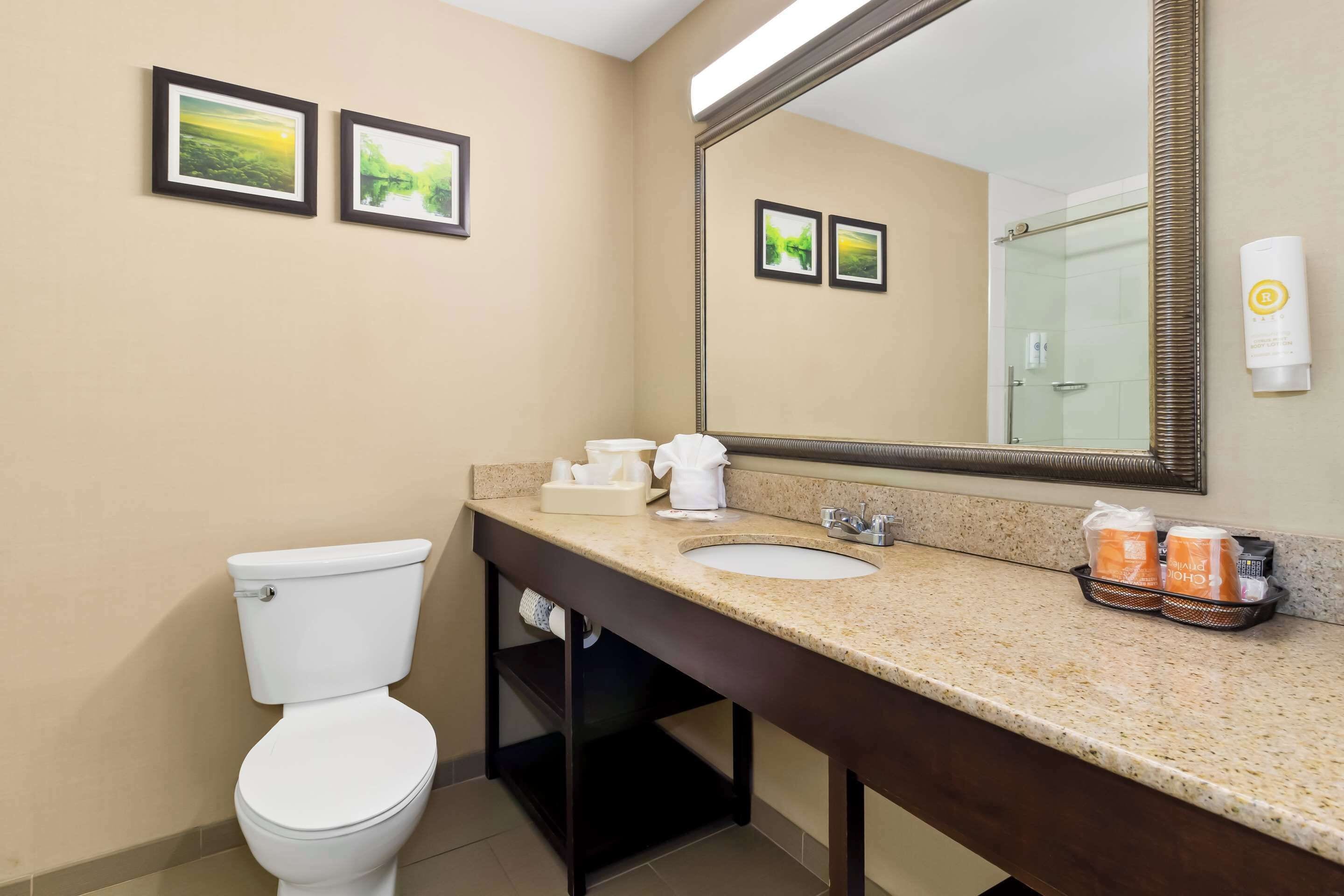 suite, 1 king bed, non smoking | iron/ironing board, free wifi, bed sheets