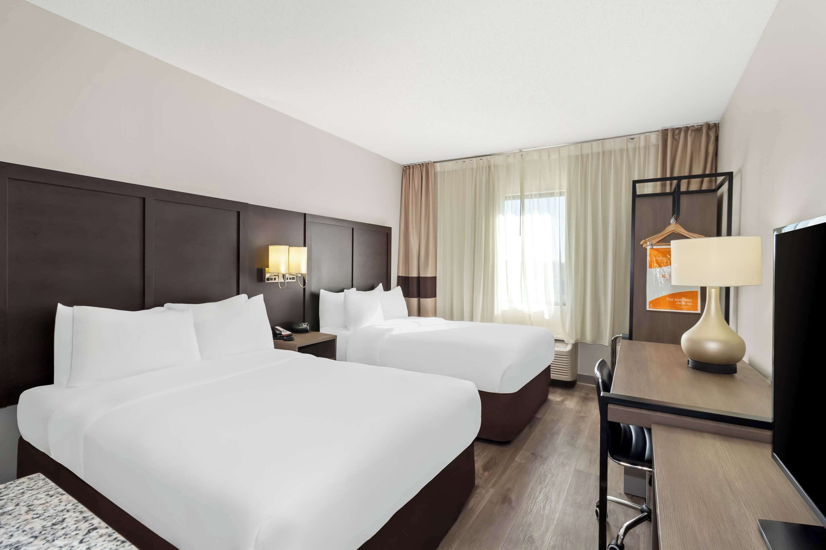 suite, 2 double beds, non smoking | iron/ironing board, free wifi, bed sheets