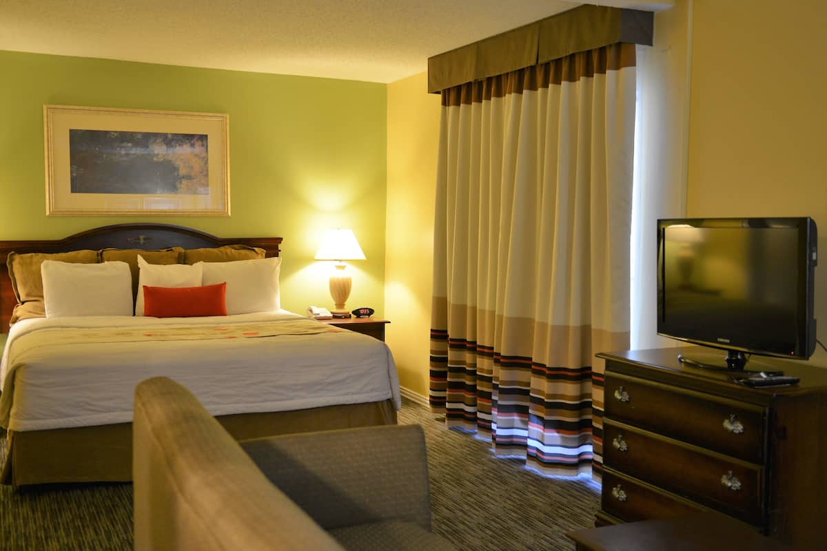 studio suite, 1 king bed, non smoking | in-room safe, desk, iron/ironing board, free cots/infant beds