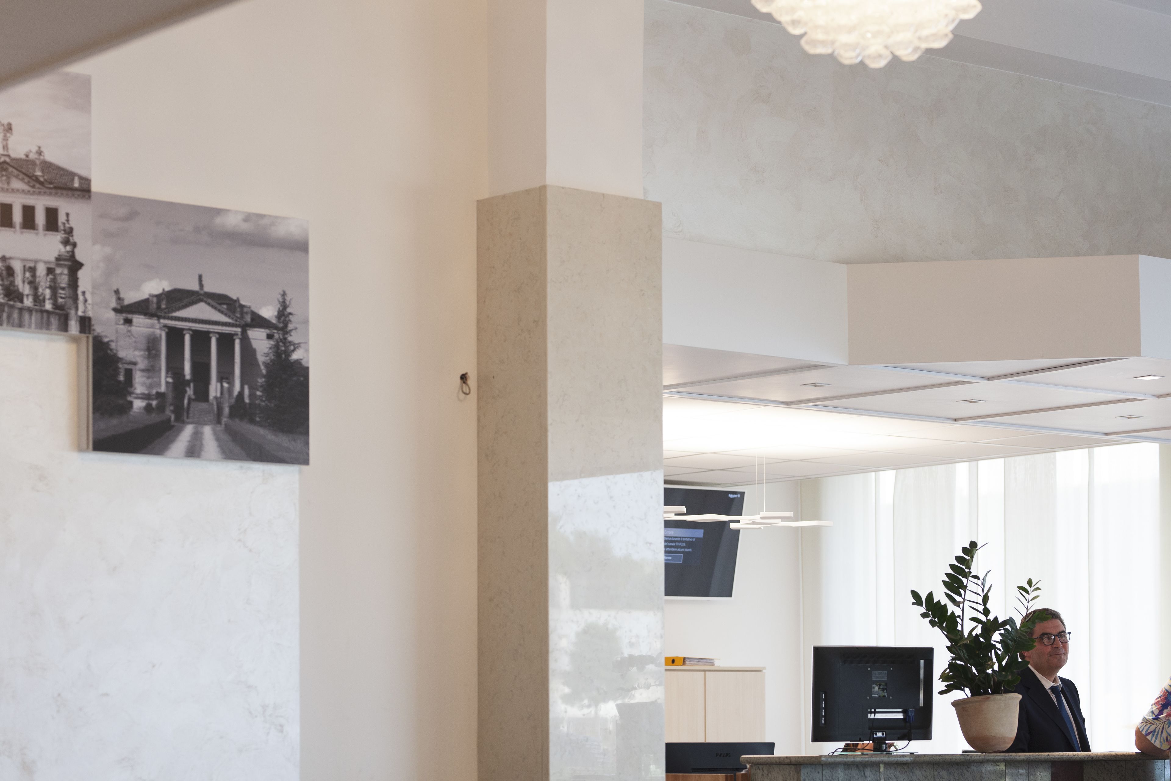 A reception area with a large potted plant, a flat-screen TV, and a framed photograph on the wall.