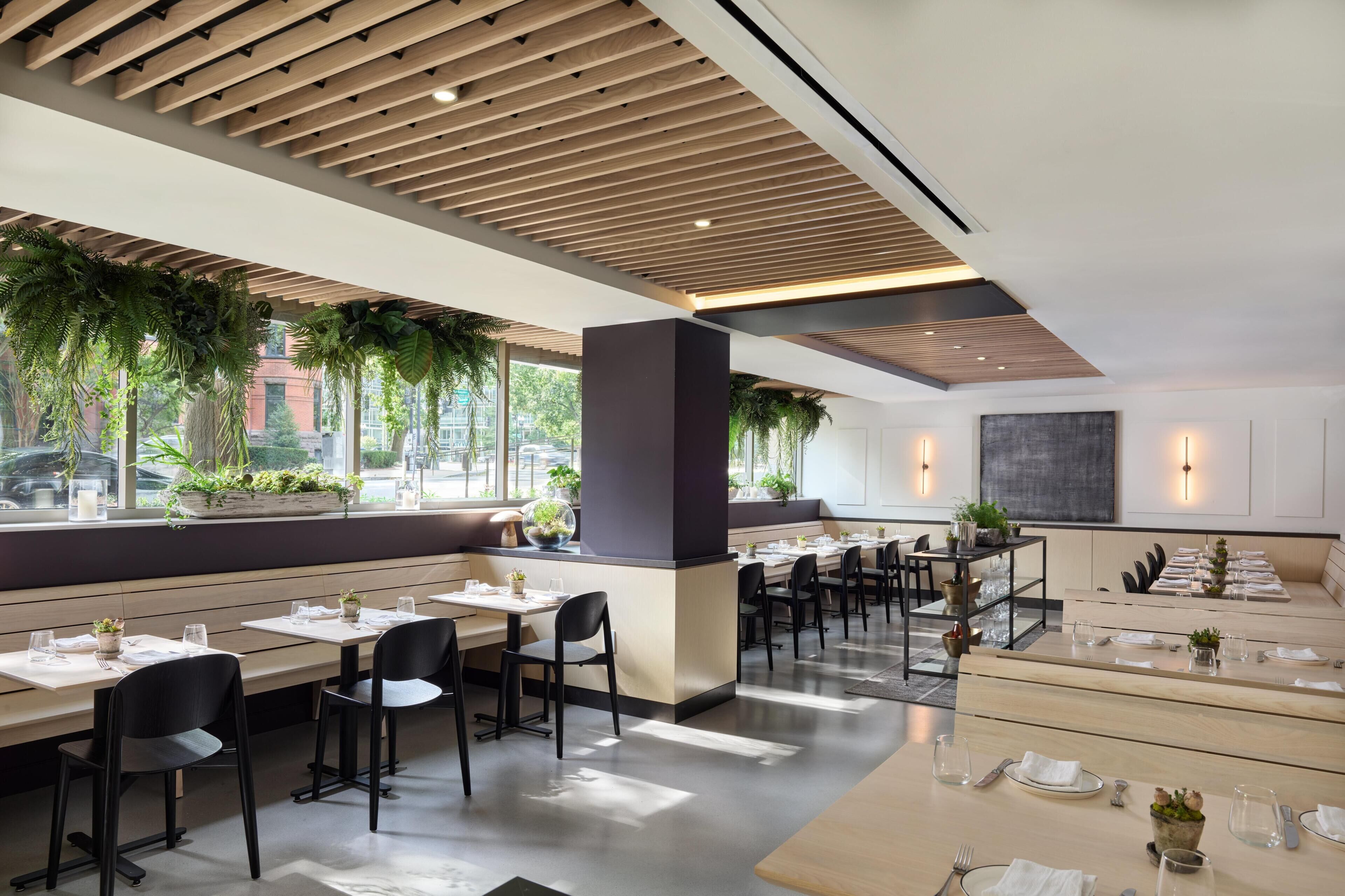 A modern restaurant interior with wooden ceiling panels, indoor plants, and a mix of booth and table seating.