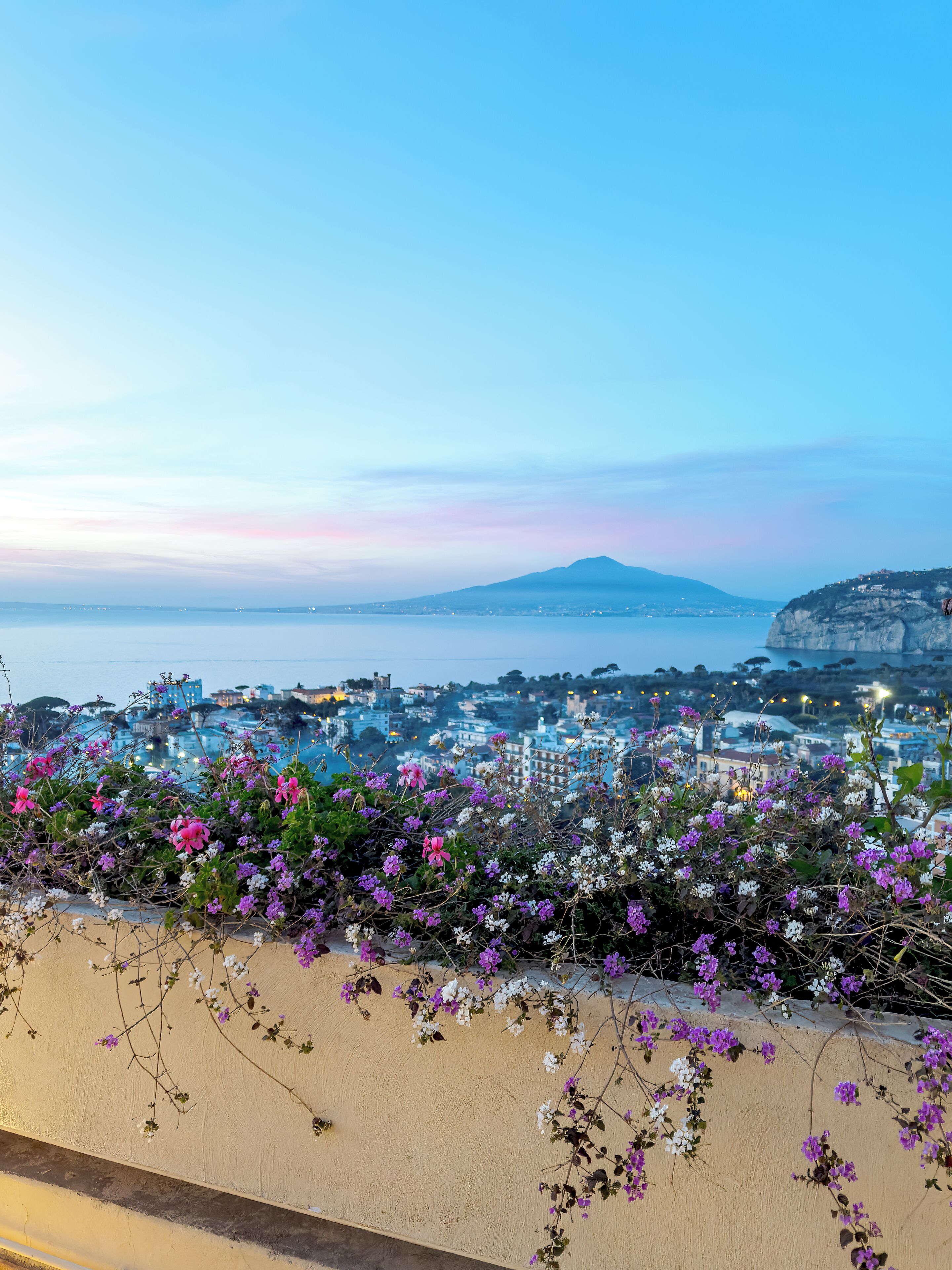 A coastal cityscape with a mountain in the background, featuring a beach with purple and white flowers in the foreground.