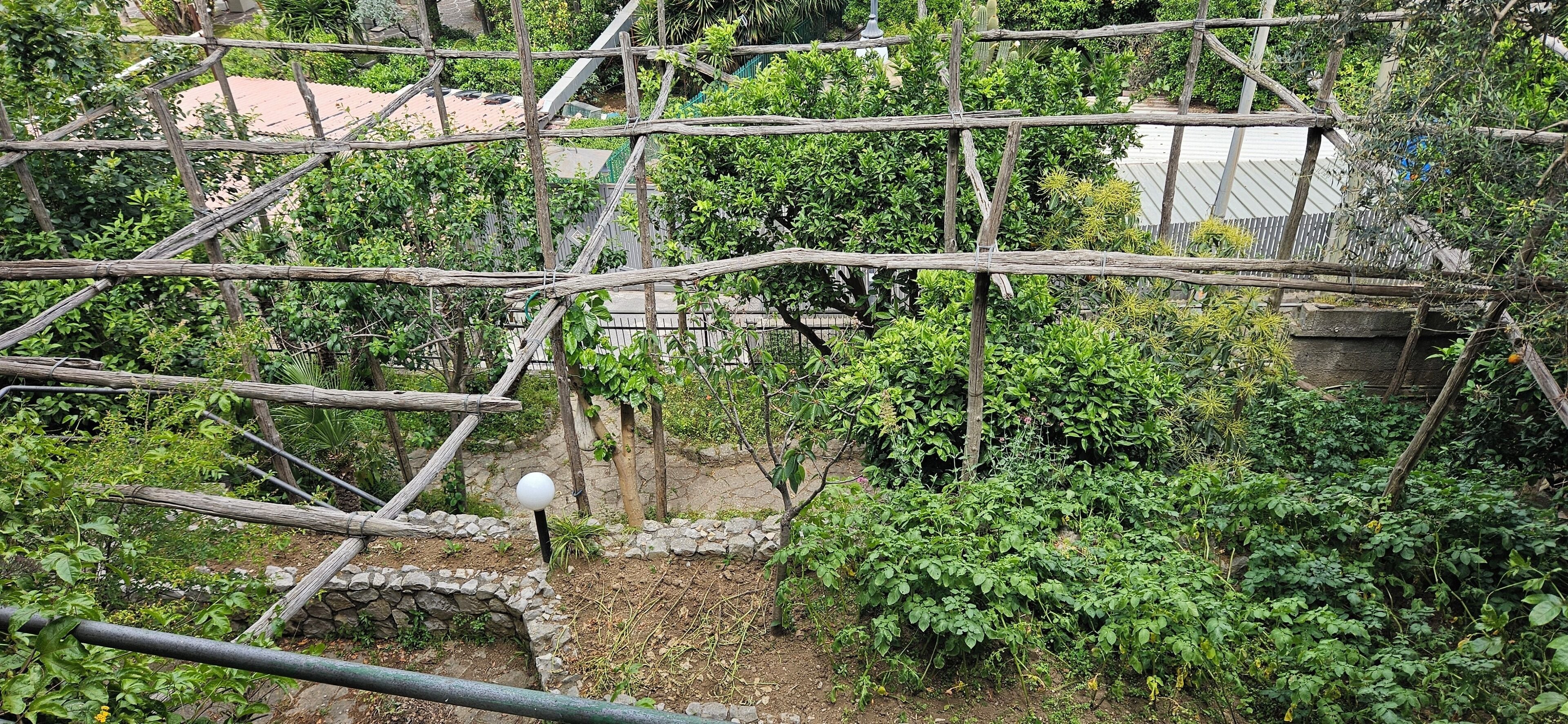 superior apartment, 2 bedrooms | terrace/patio