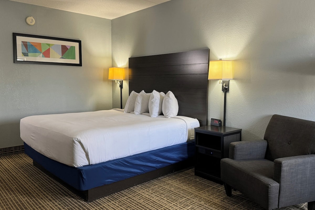 standard room, 1 king bed, non smoking | premium bedding, pillow-top beds, desk, blackout curtains