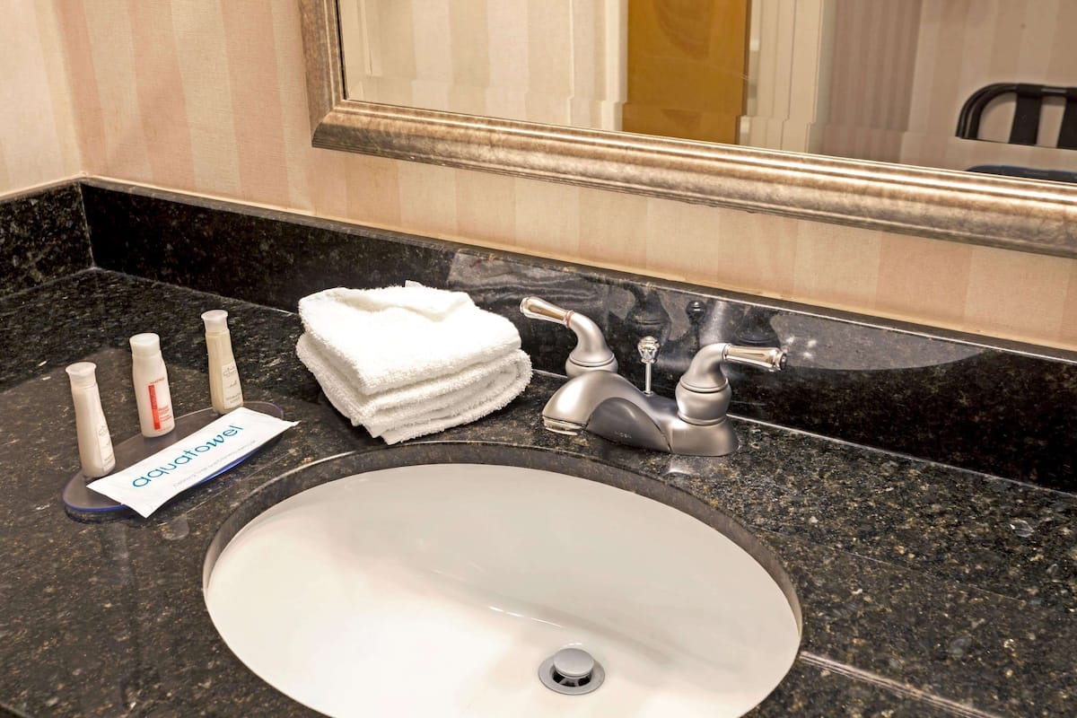 combined shower/bathtub, free toiletries, hair dryer, towels