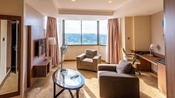 Studio Suite | View from room
