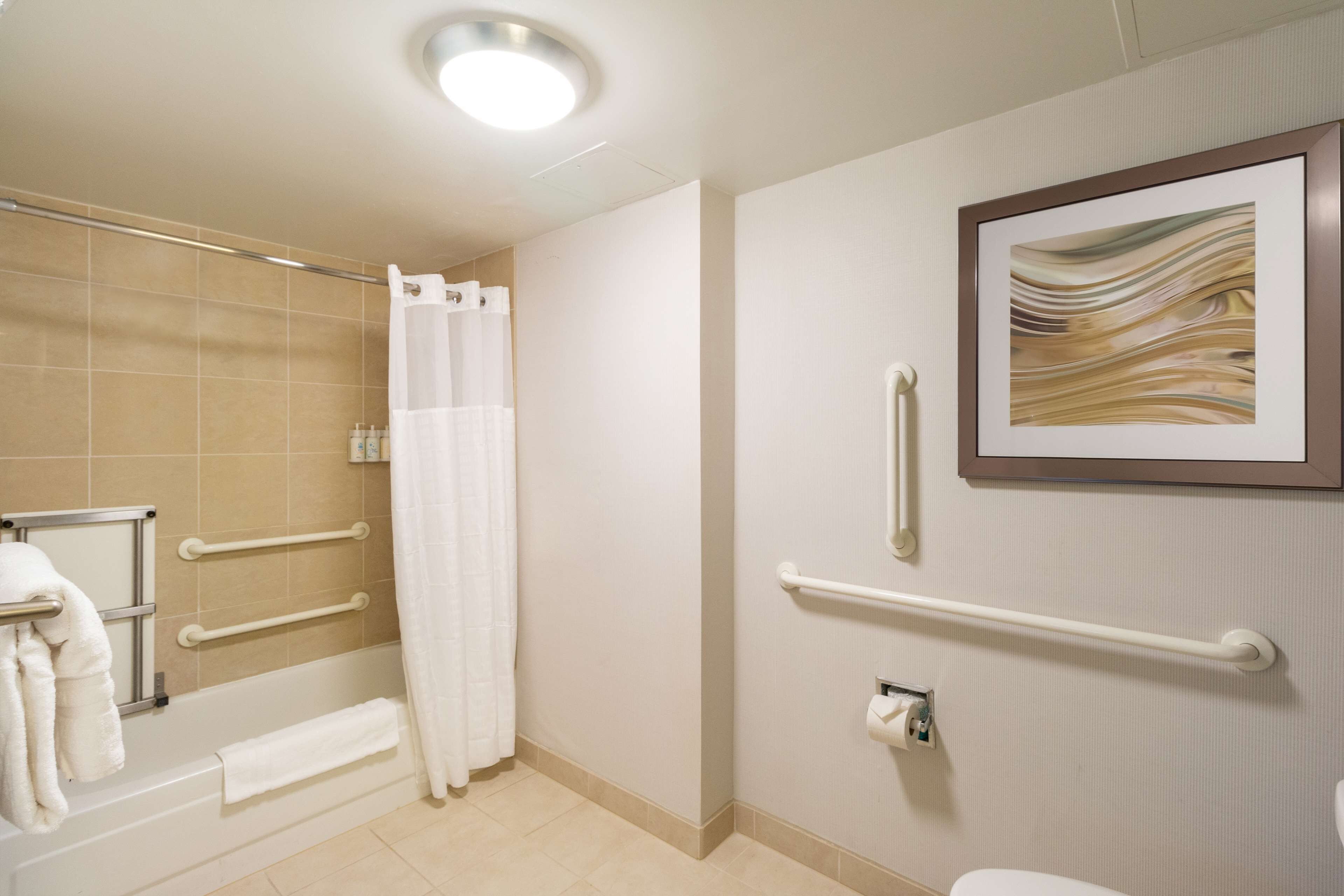 combined shower/bathtub, free toiletries, hair dryer, towels
