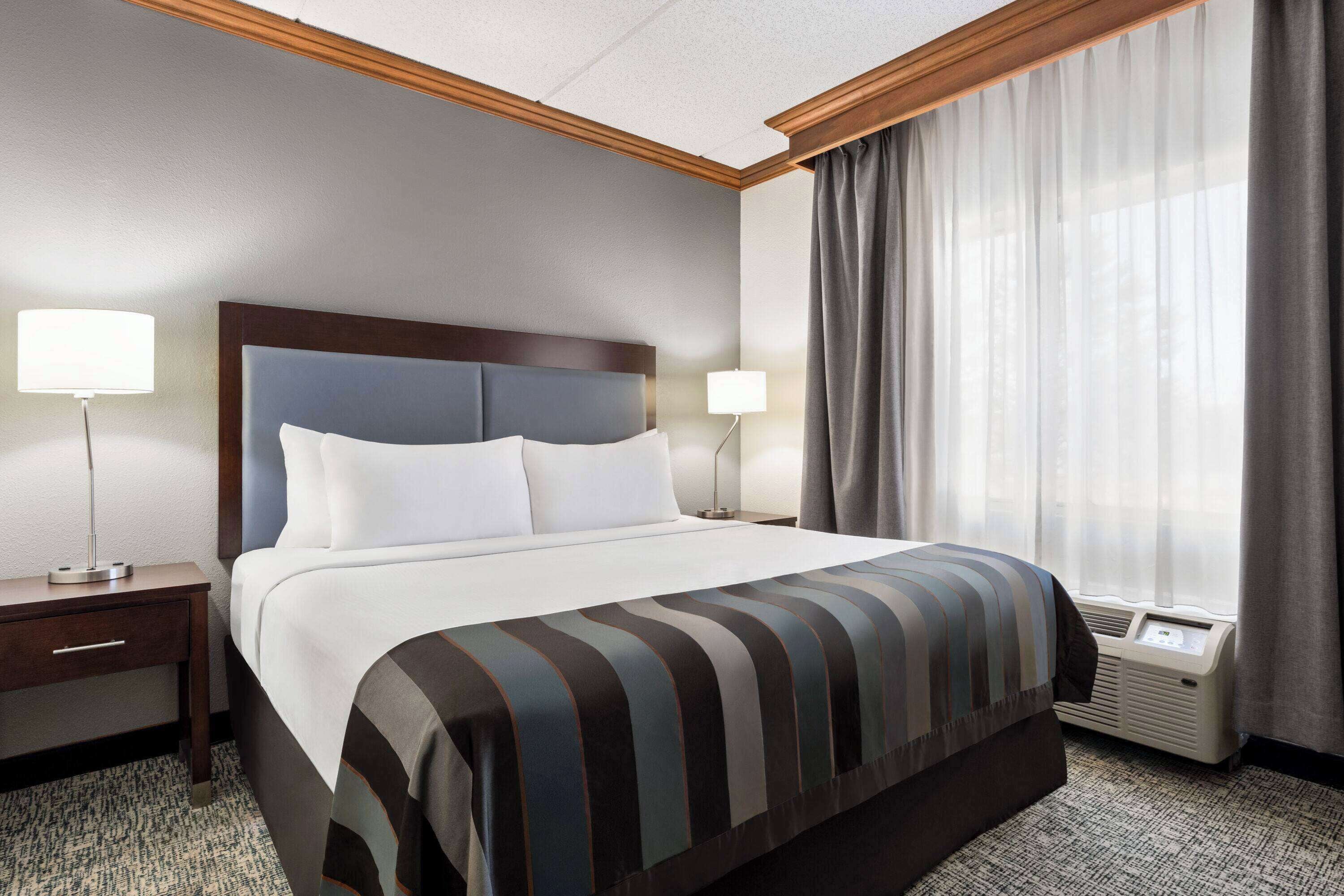 Studio Suite, 1 King Bed, Non Smoking | Desk, iron/ironing board, free cribs/infant beds, bed sheets