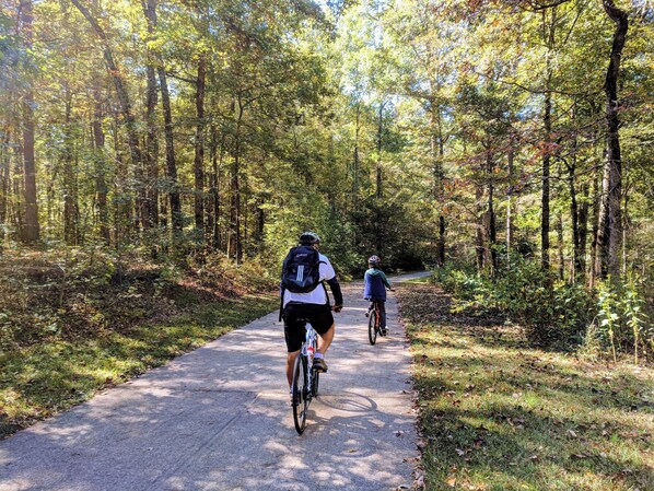 Two cyclists on a paved path through a forested area.