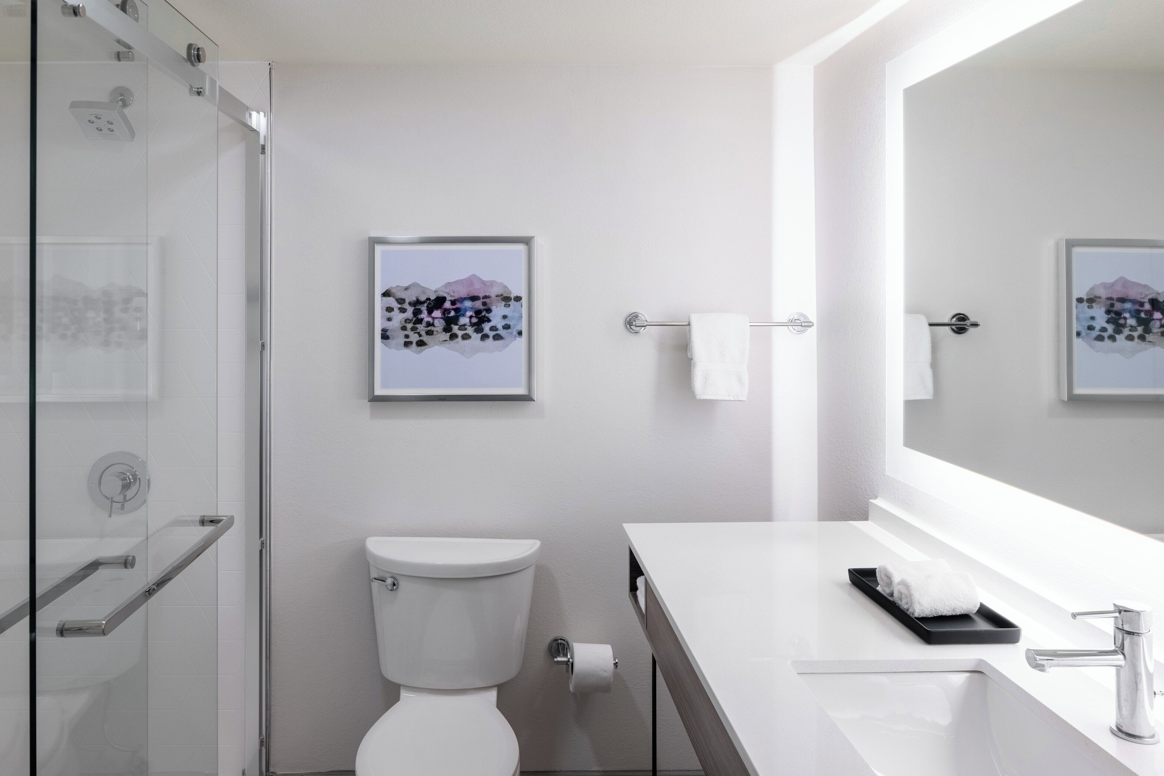 A modern bathroom with a glass shower enclosure, a toilet, a sink with a mirror, and a framed picture on the wall.