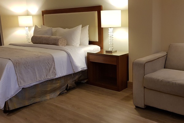 Junior Single Room | Peti besi dalam bilik, meja, kalis bunyi, seterika/papan seterika