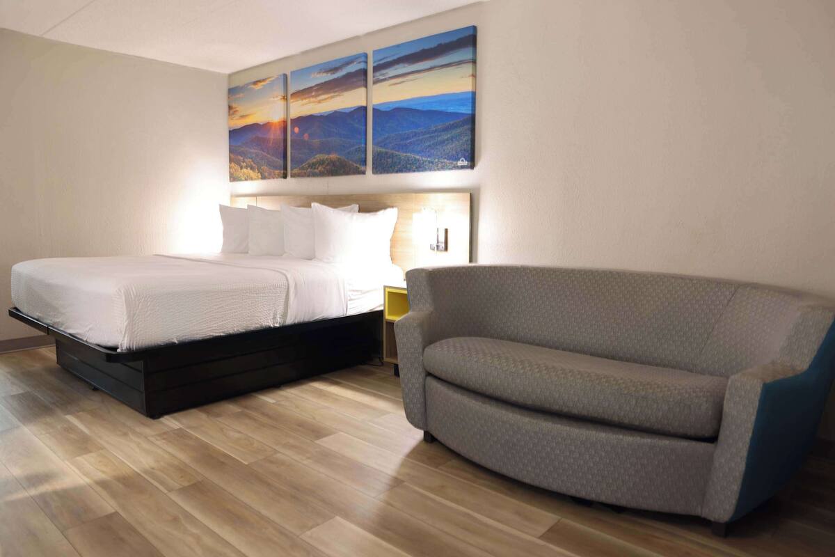Une chambre d’hôtel avec un lit, un canapé gris et un mur orné de trois tableaux représentant des paysages.