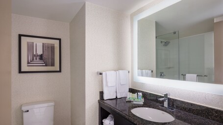 Holiday Inn Washington Capitol Natl Mall, an IHG Hotel - Image 15