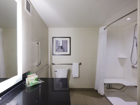 Holiday Inn Washington Capitol Natl Mall, an IHG Hotel - Image 20