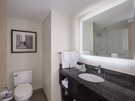 Holiday Inn Washington Capitol Natl Mall, an IHG Hotel - Image 8