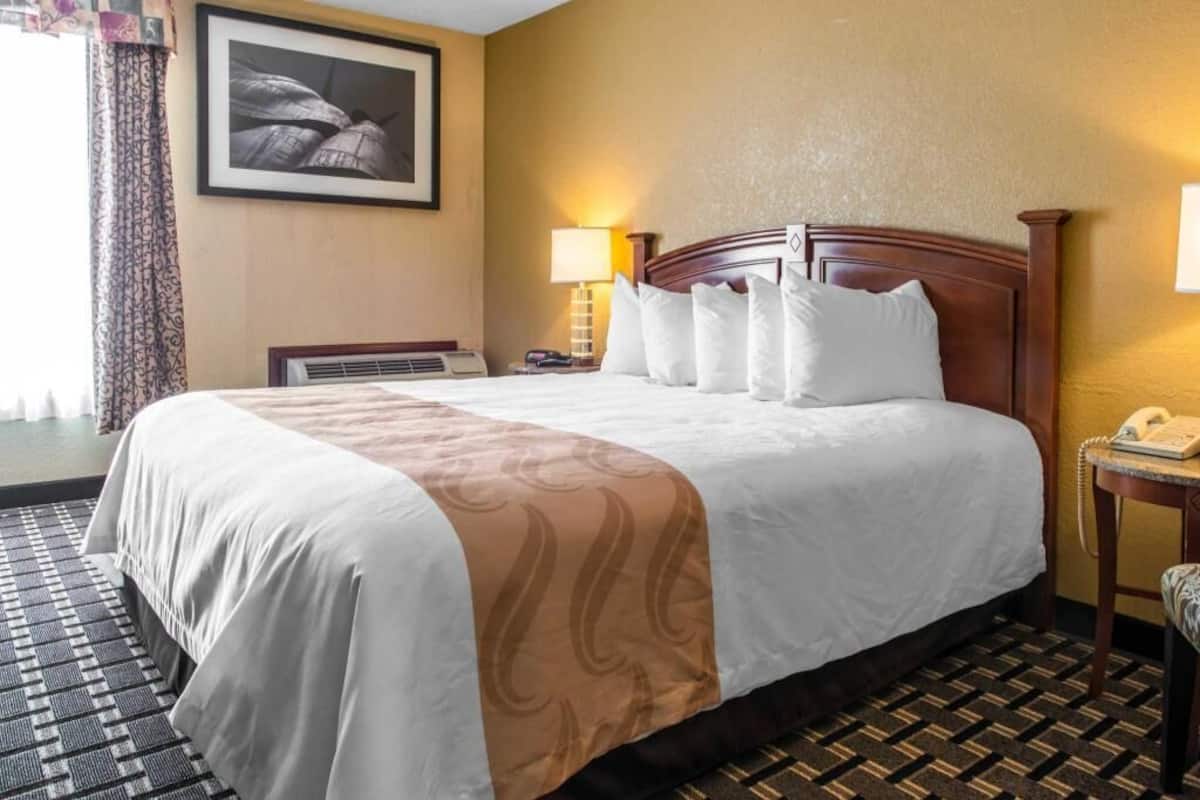 A hotel room with a large bed, a bedside lamp, a telephone, and a framed picture on the wall.