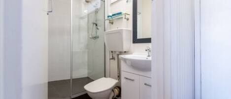 Une salle de bain moderne avec une douche à parois de verre, des toilettes blanches et un lavabo surmonté d’un miroir.