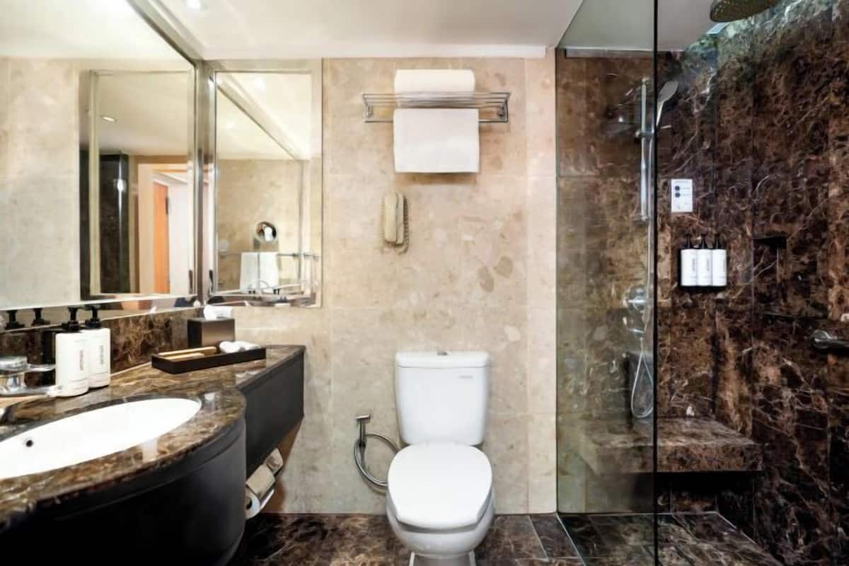 Komfortbadewanne, Regendusche, Designer-Toilettenartikel, Haartrockner