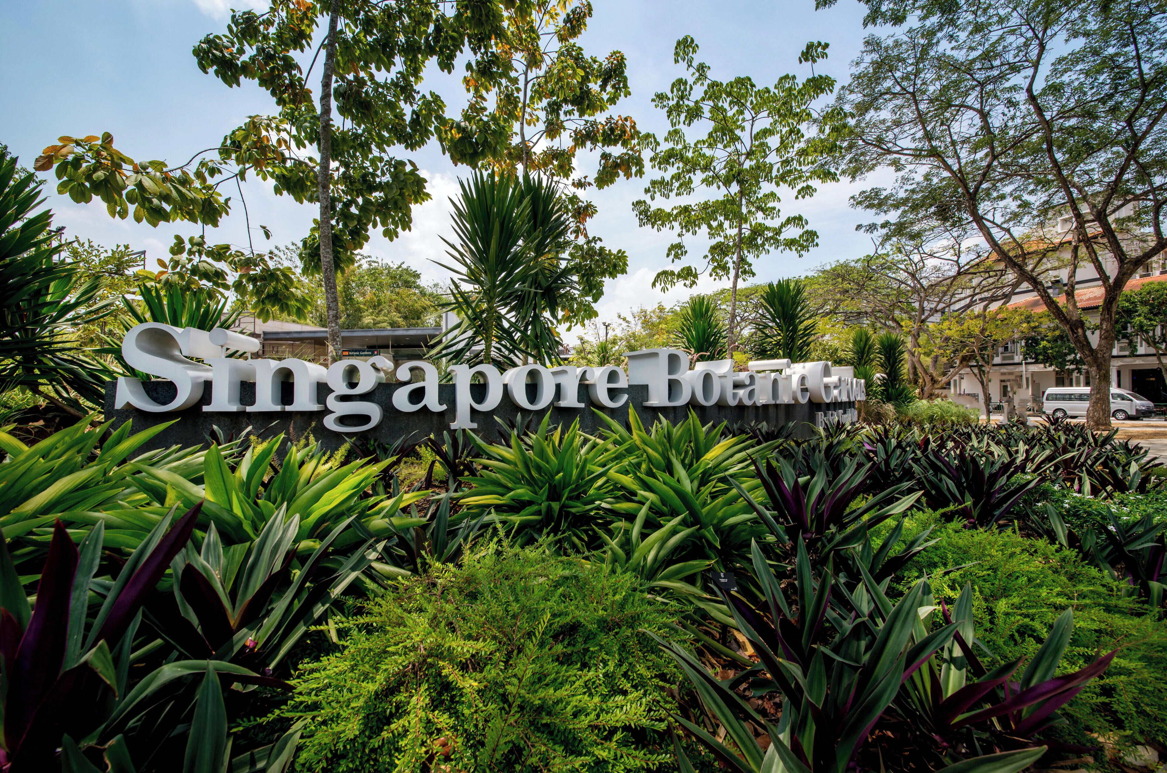 Photo - voco Orchard Singapore by IHG