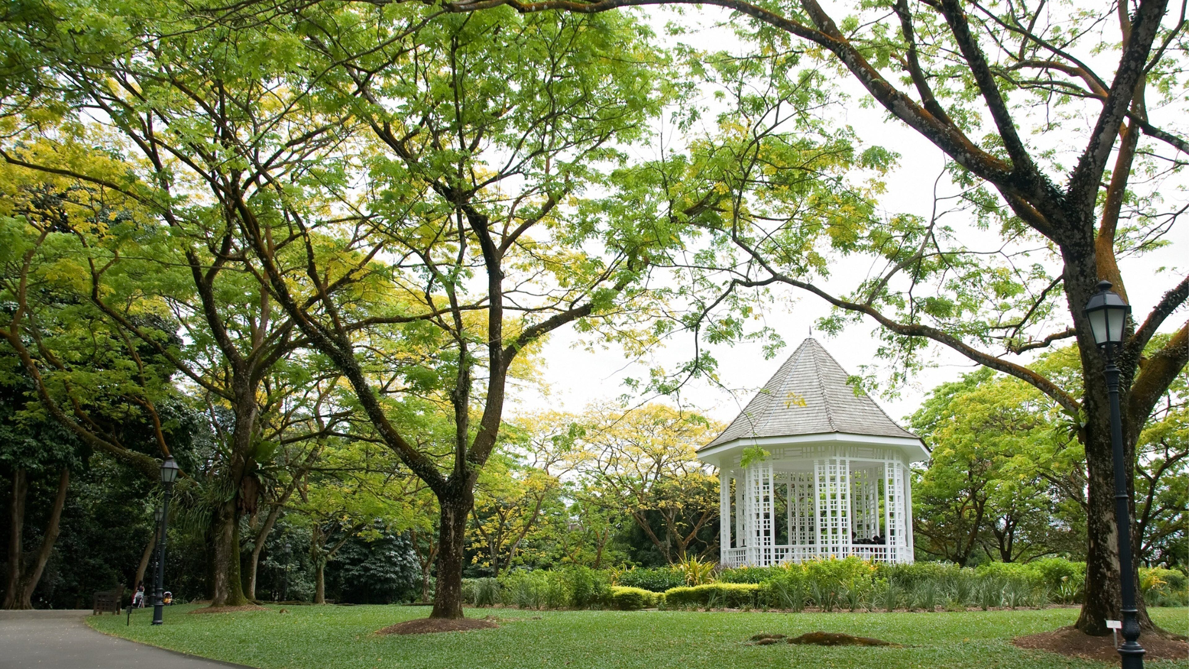 Photo - voco Orchard Singapore by IHG