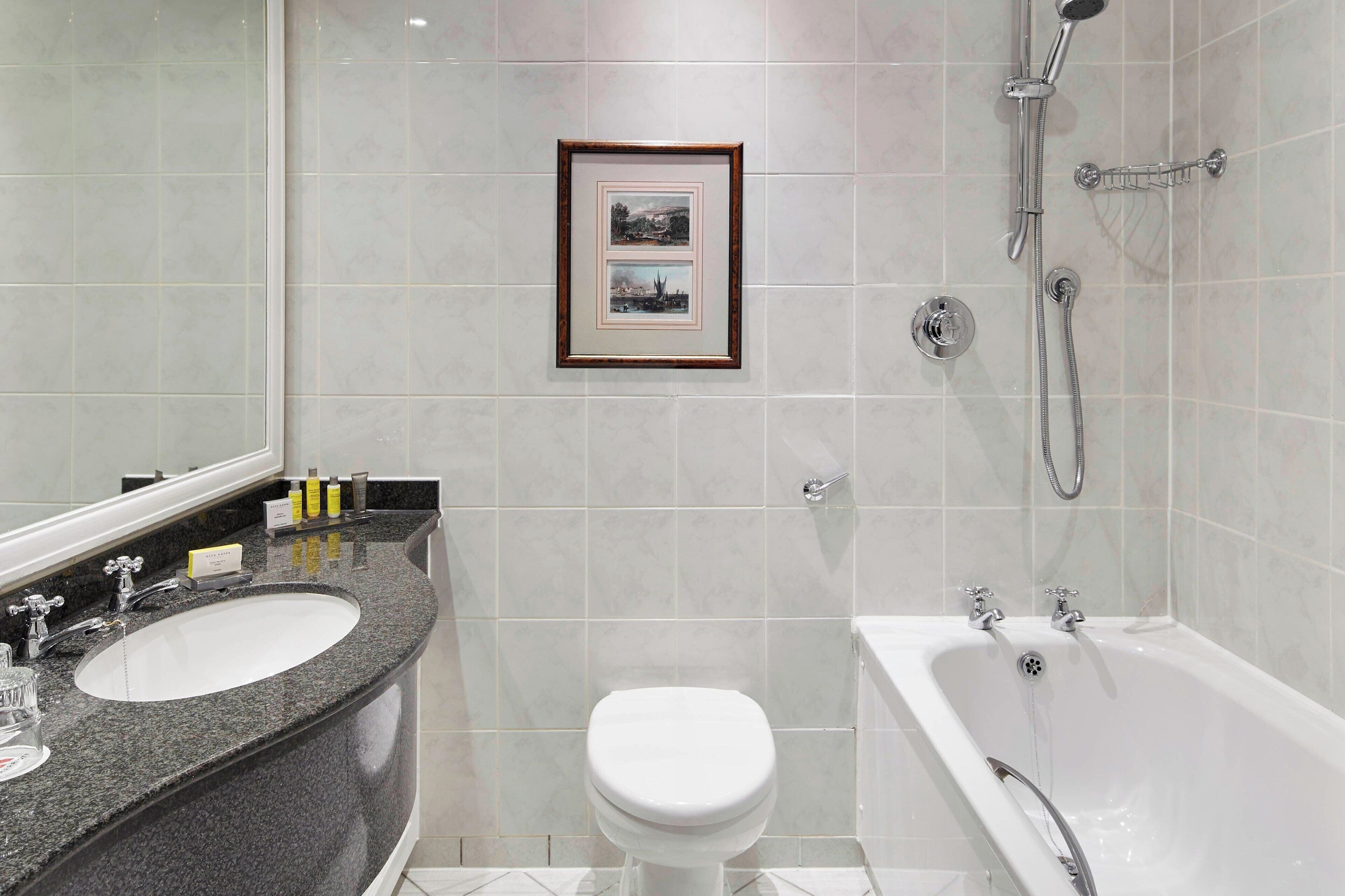 combined shower/bathtub, free toiletries, hair dryer, towels