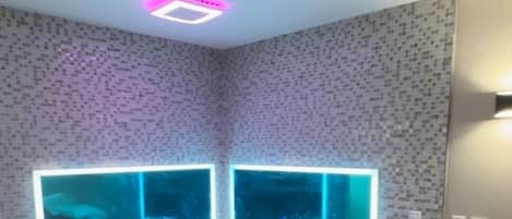 Quang cảnh nhìn từ nơi lưu trú