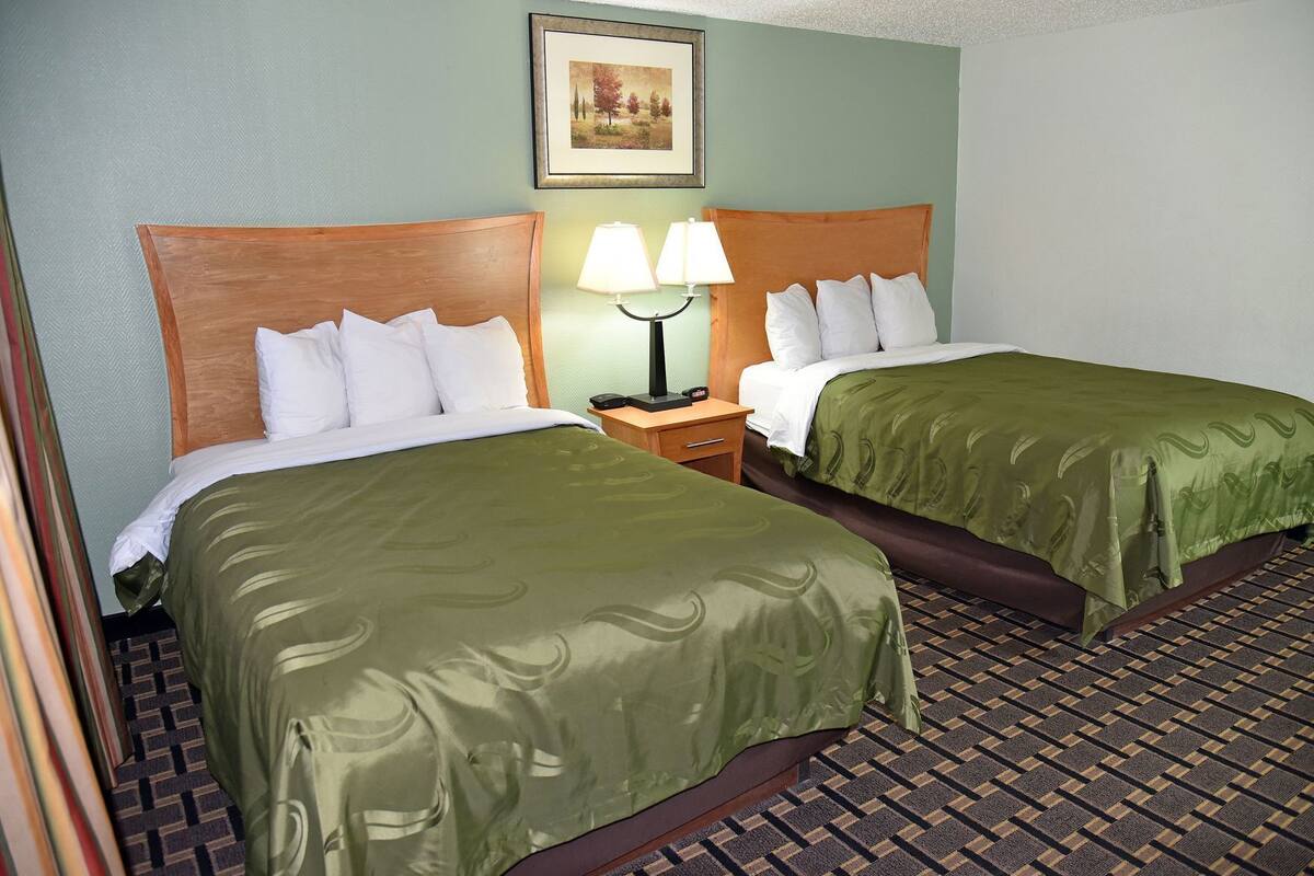 A hotel room with two beds, a nightstand with a lamp, a framed picture on the wall, and a patterned carpet.