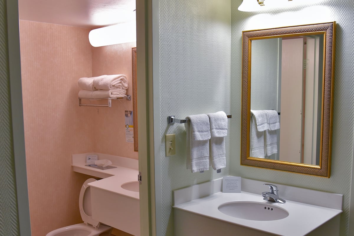 business suite, 1 king bed, non smoking | bathroom | combined shower/bathtub, free toiletries, hair dryer, towels